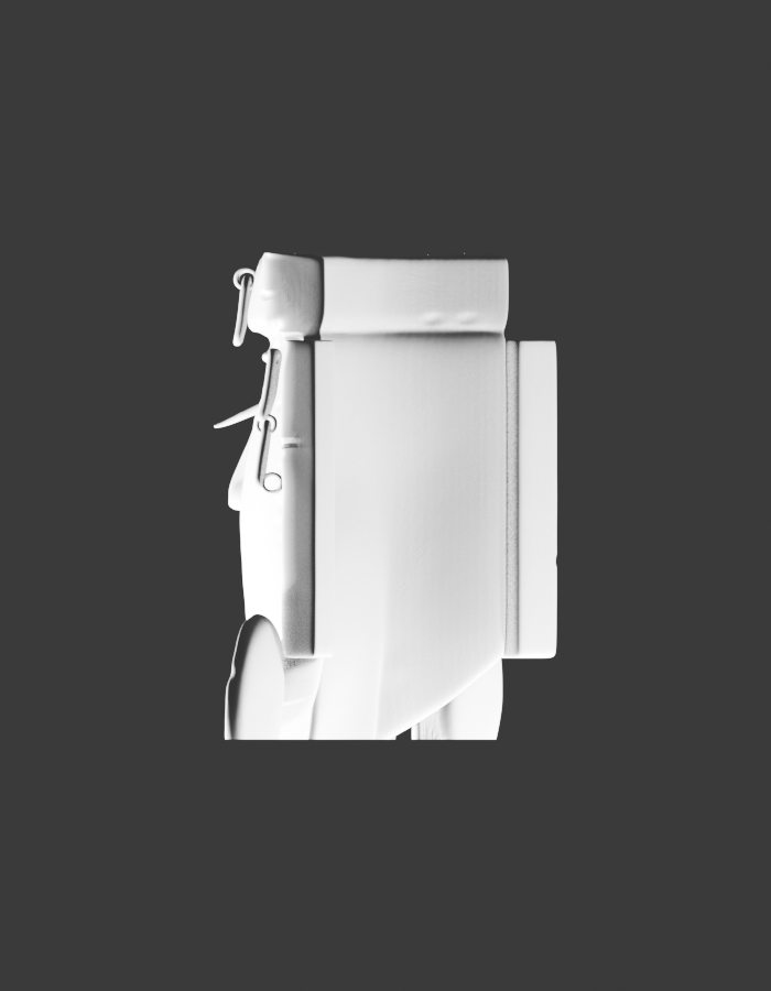 Render Tripo